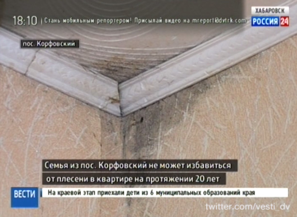 Плесень в квартире