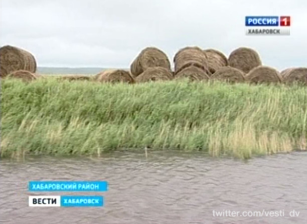 Амур подтопил сельхозугодия
