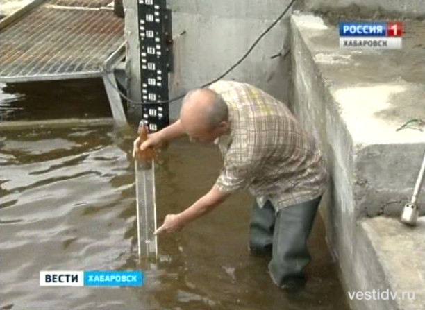 Уровень Амура у Хабаровска продолжает расти