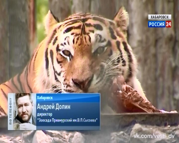Анонс недели