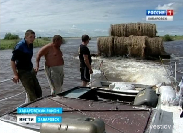 Эвакуация сена Сергеевского хозяйства