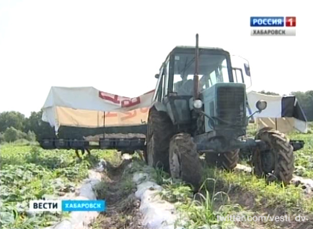 Комбайн для сборки огурцов