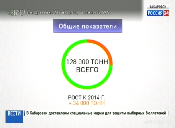 Лососевая путина бьет рекорды