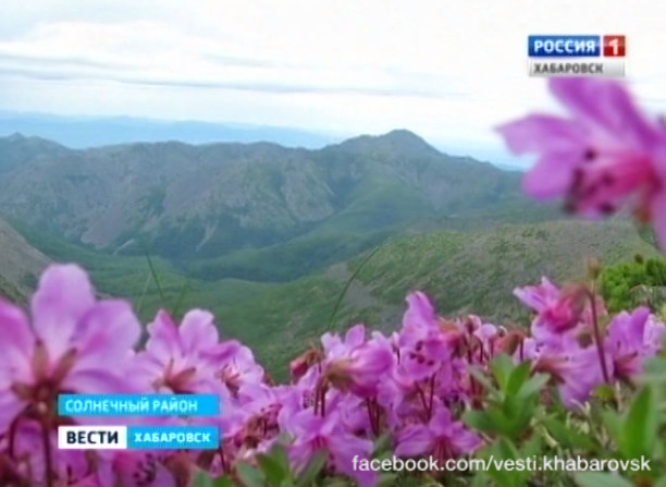 Первая экспедиция в западную часть Баджальского заказника