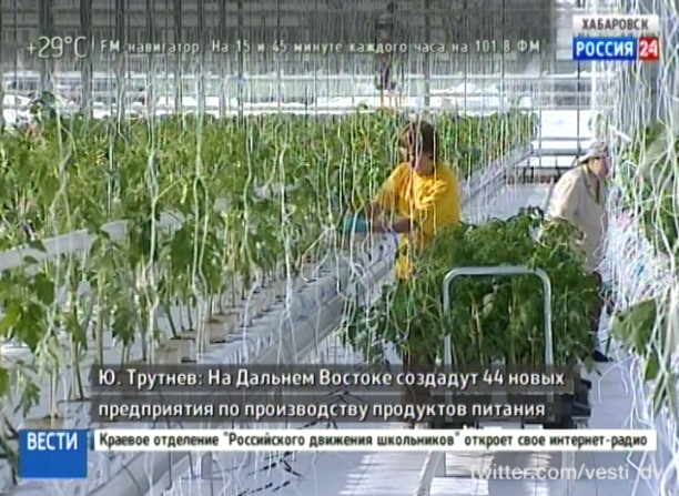 Инвестиции в производство продуктов питания