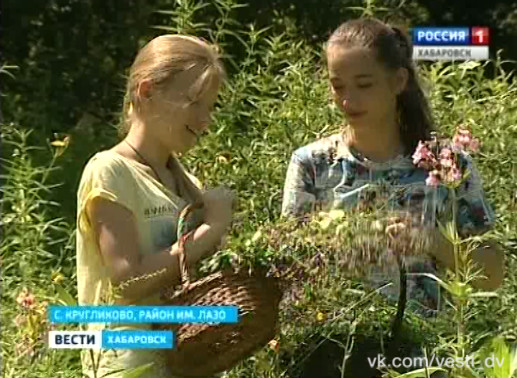 Травы от всех недугов