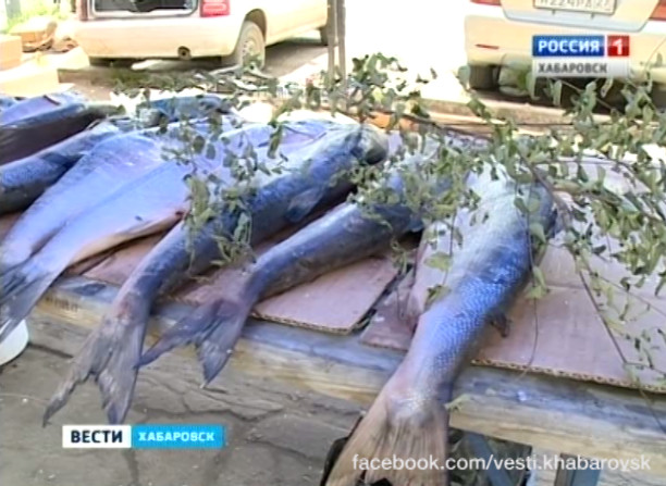 Рыба на стихийных рынках