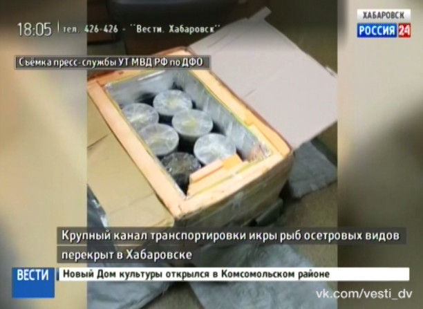 Перекрыт крупный канал транспортировки икры рыб осетровых видов