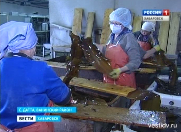 Планы по рыборазводному заводу артели «50 лет Октября»