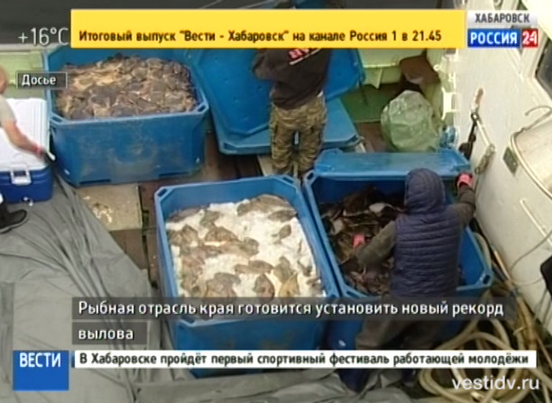 Новый рекорд вылова рыбы