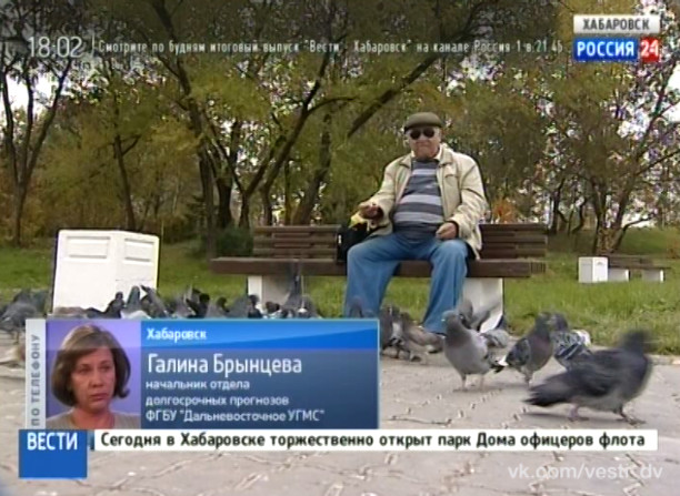 Прогноз погоды на ближайшее время