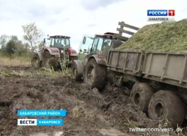 Заготовка силоса