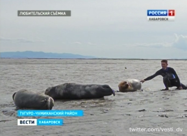 Экспедиция на три залива Охотского моря