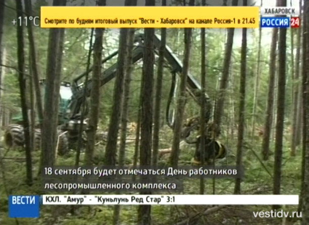 18 сентября — День работников леса