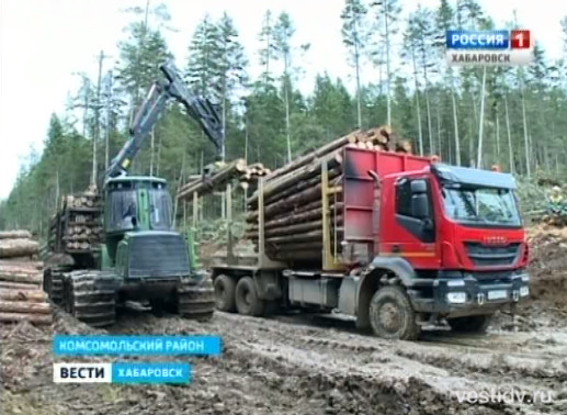 Лесозаготовка в Комсомольском районе