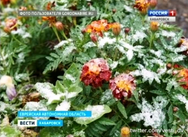 Будет ли снег