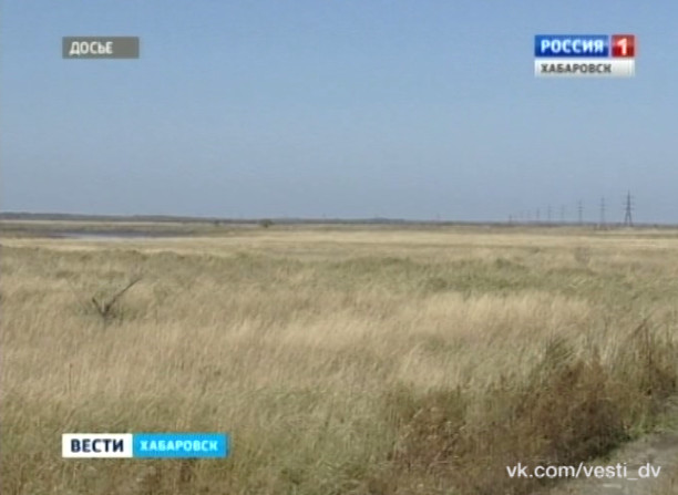 Комплекс мер поддержки для получателей «дальневосточного гектара»
