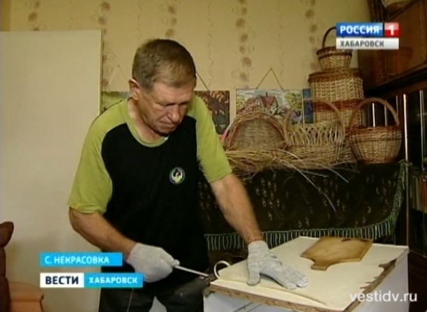 Сезон сбора ивы