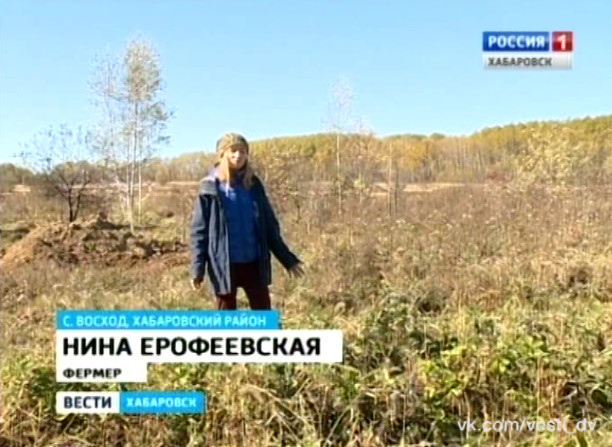Хабаровск в дымовой завесе
