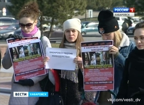 Пикет против жестокого обращения с животными