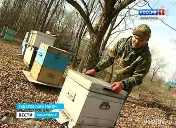Кому гектар?