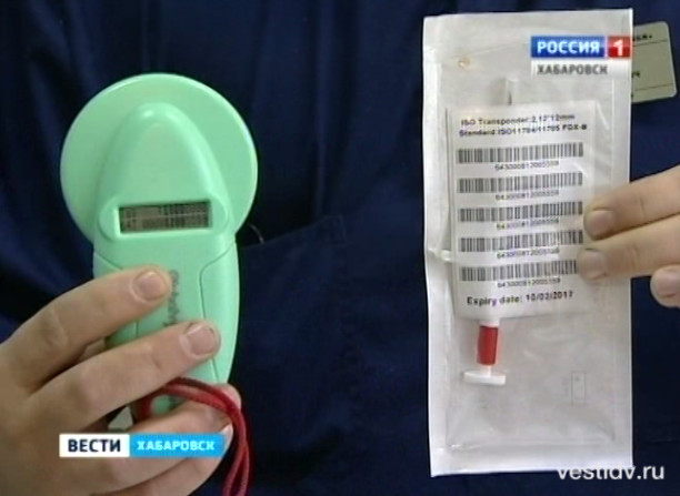 Чипирование домашних животных