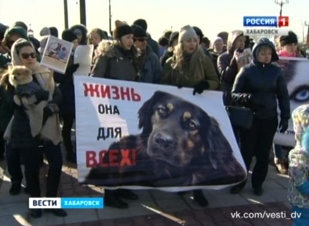 Пикет против живодерства