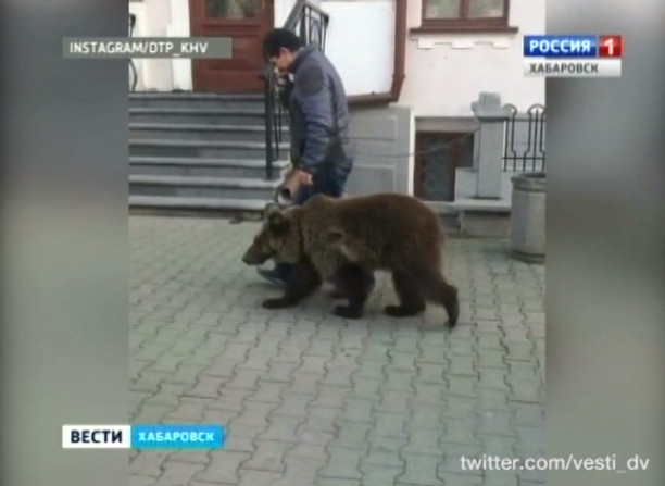 По главной улице с медведем