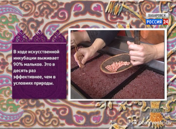 Нанай Боани