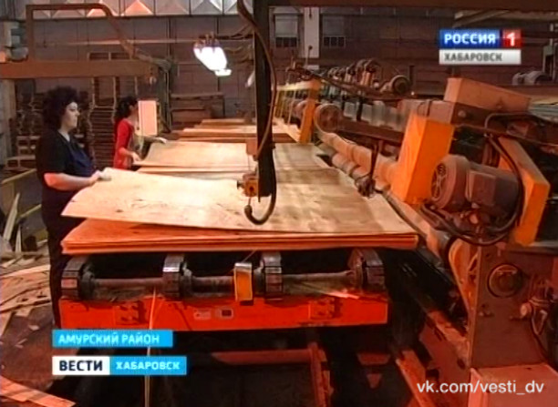 Новый цикл глубокой переработки древесины в ТОСЭР «Амурск»