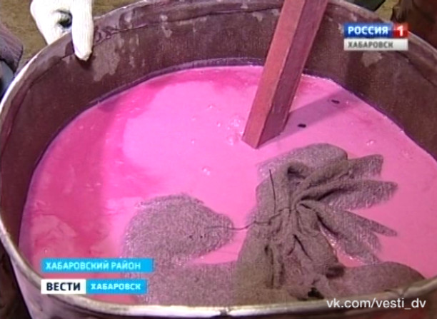 Воспроизводство лесов