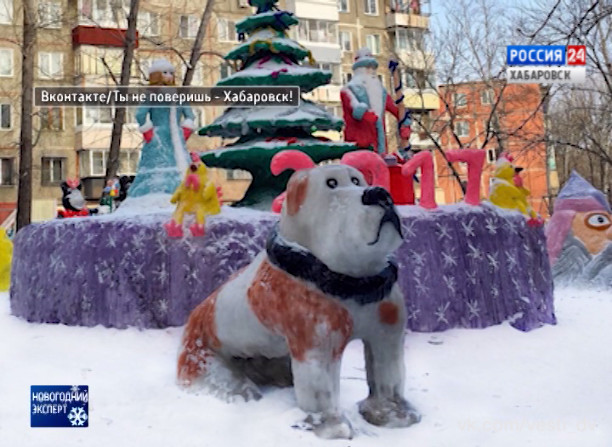 Новогодний эксперт