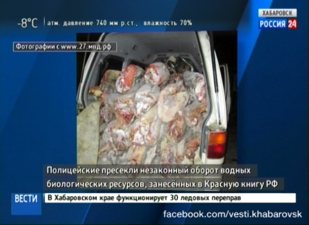 Изъятие осетрины