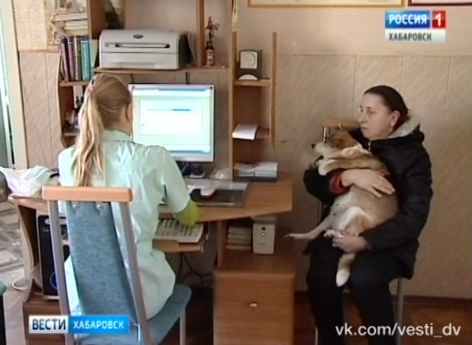 Собак травят