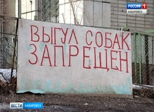 Собачьи дела