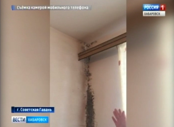 Проверка квартир сирот в Советской Гавани