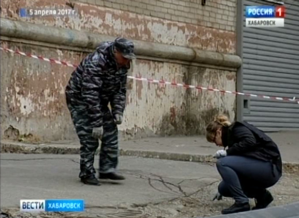 Результат проверки по упавшему на девочку шиферу