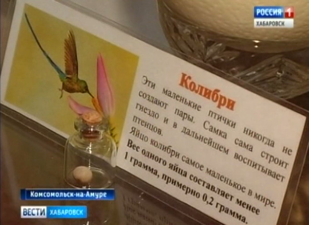 Выставка птичьих яиц