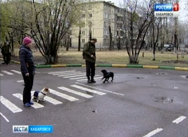 Показательное выступление для неслышащих детей
