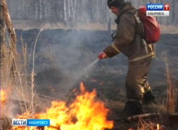 Лесные пожары