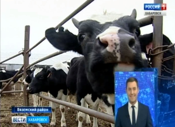 Торги сельхозпредприятия «Котиково» аннулированы