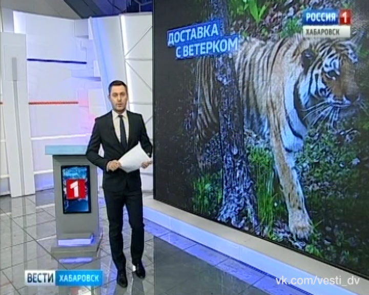 Тигр-Путешественник