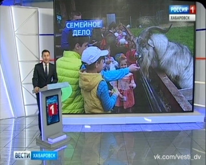 Международный день семьи