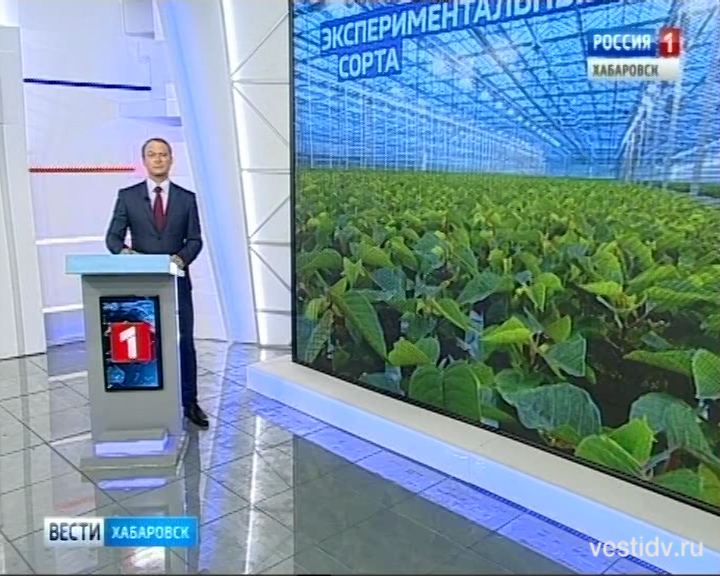 КСТ Агрокомплекс