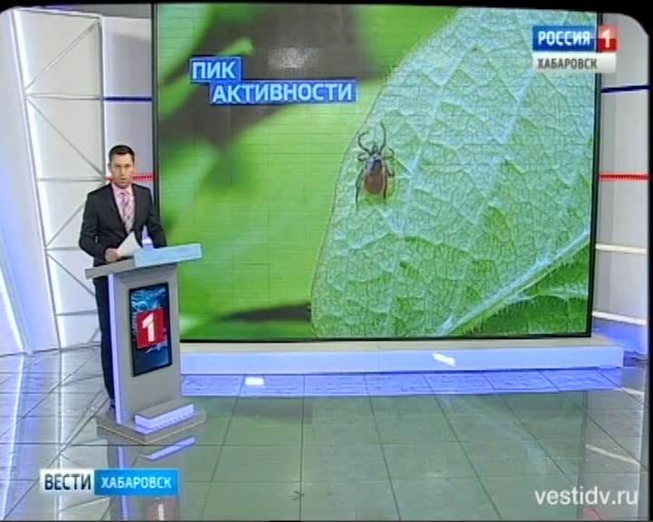 Клещи