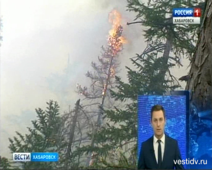 Лесные пожары