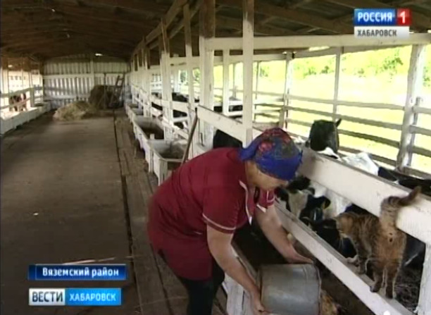 Что с «Котиково»?