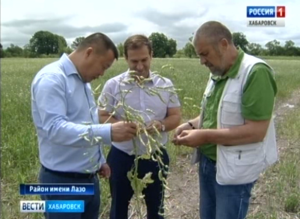 Продажа АО «Хорское»