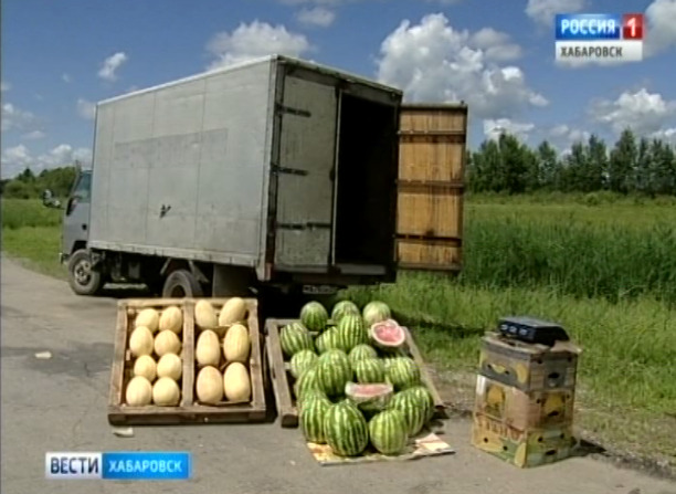 Арбузы в городе
