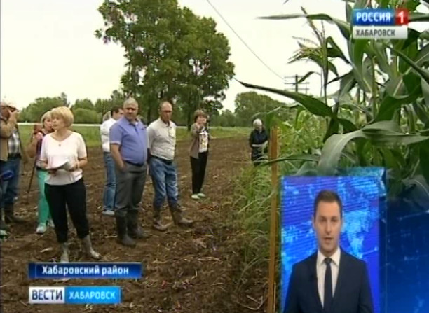 Семинар на полях